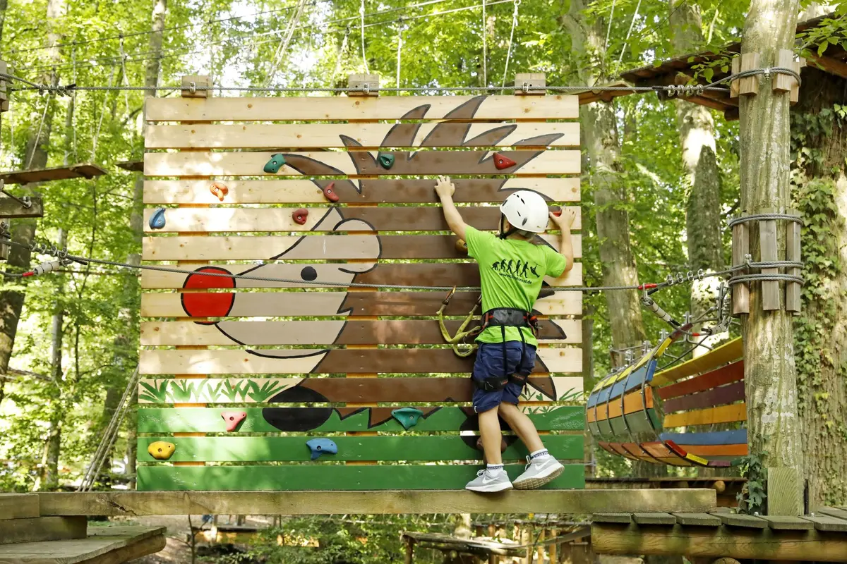 Sortir du quotidien, se lancer dans l'aventure : la sortie familiale idéale en forêt