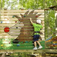 Sortir du quotidien, se lancer dans l'aventure : la sortie familiale idéale en forêt DR