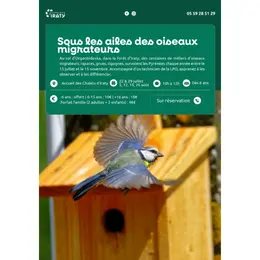 Sous les ailes des oiseaux migrateurs