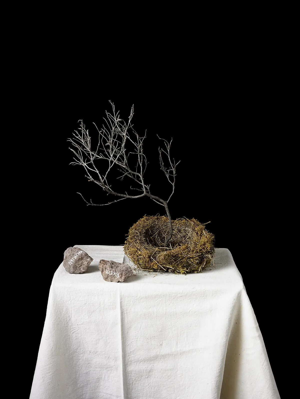 Sous les cendres de l'histoire – Exposition et ouverture de l'atelier de Natacha Nikouline