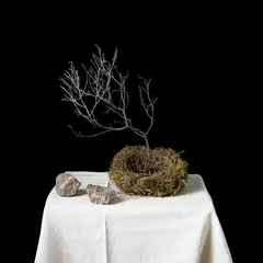 Sous les cendres de l'histoire – Exposition et ouverture de l'atelier de Natacha Nikouline