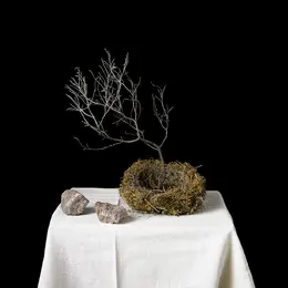 Sous les cendres de l'histoire – Exposition et ouverture de l'atelier de Natacha Nikouline