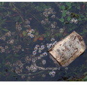 Sous les clichés, la page !