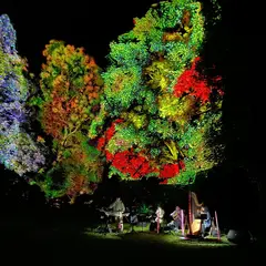 Sous Les Etoiles