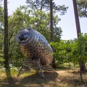 Sous les étoiles, randonnée naturaliste et artistique en forêt