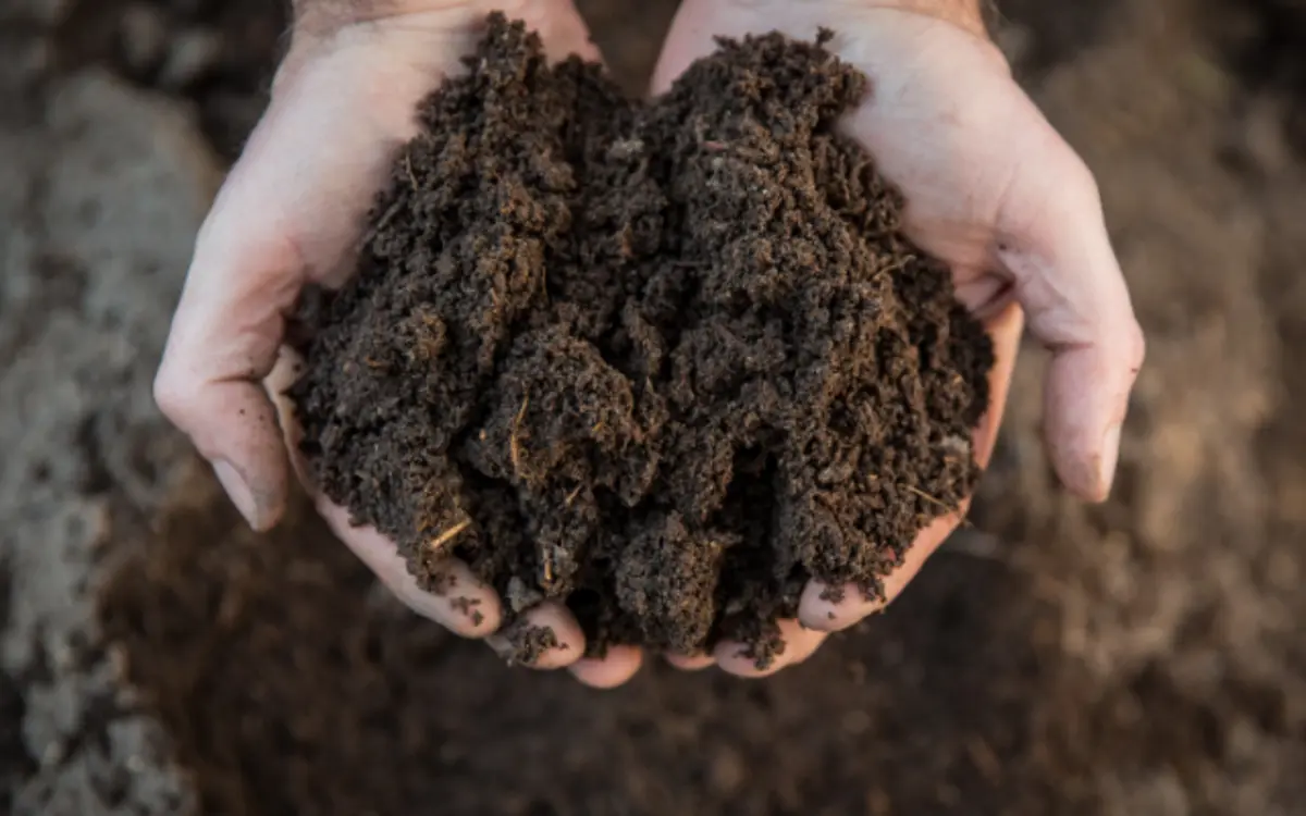 Sous nos pieds, tout un monde vivant !