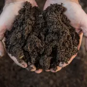 Sous nos pieds, tout un monde vivant !