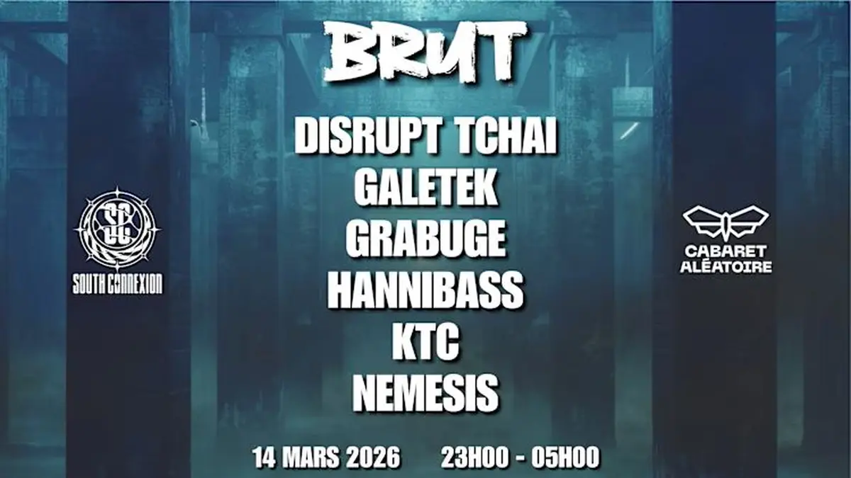 South connexion brut 001