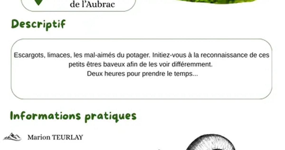 Spécial enfant "chasse aux escargots"