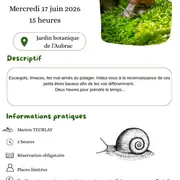 Spécial enfant chasse aux escargots