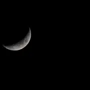 Spéciale Halloween - à la découverte des mal-aimés