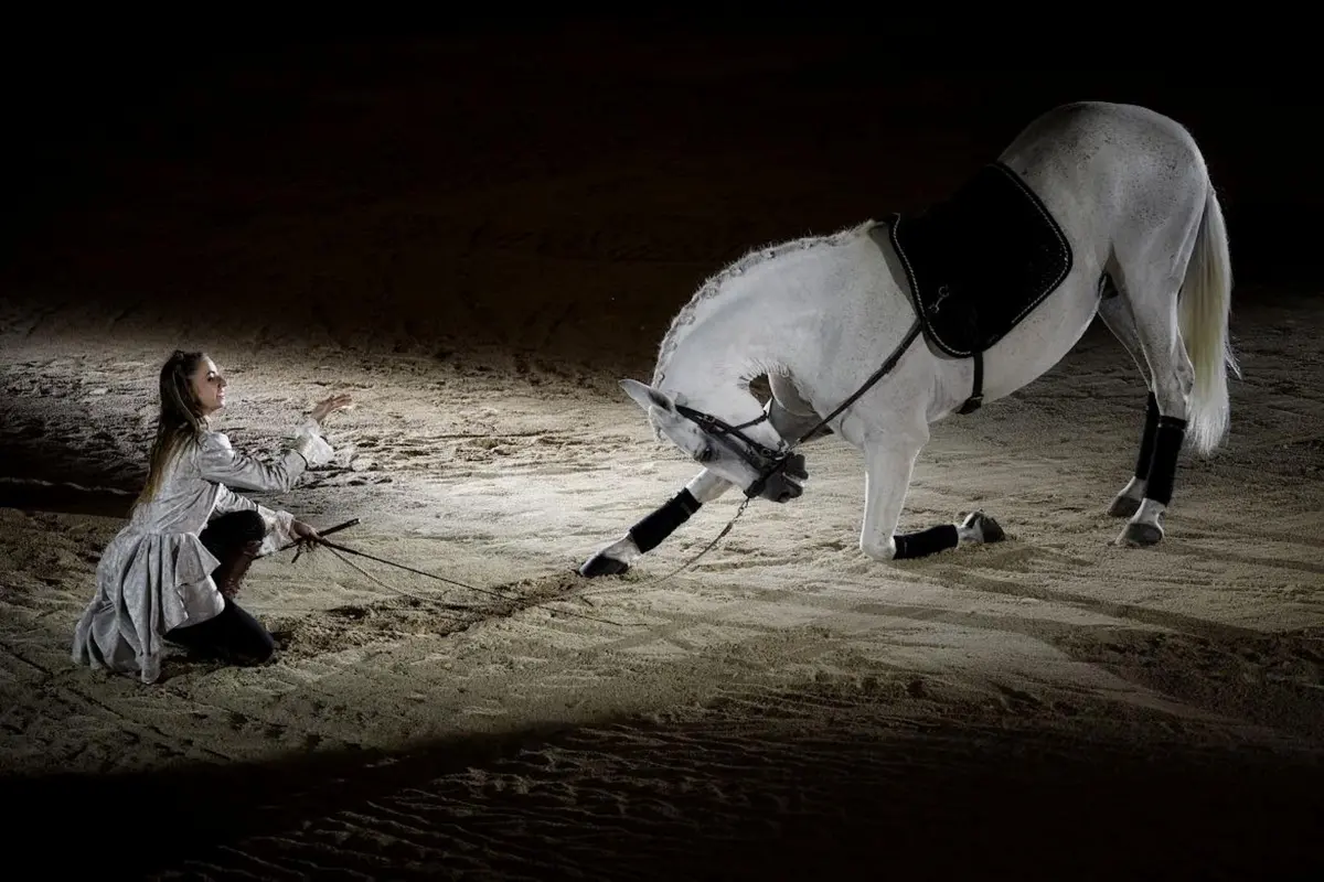 Spectacle 2026 du Cabaret Équestre des Mylords/Les 4 Saisons des Chevaux/