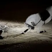 Spectacle 2026 du Cabaret Équestre des Mylords/Les 4 Saisons des Chevaux/