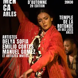 Spectacle « Al compás del Flamenco »