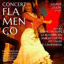 Spectacle « Alegrias del Sentir »