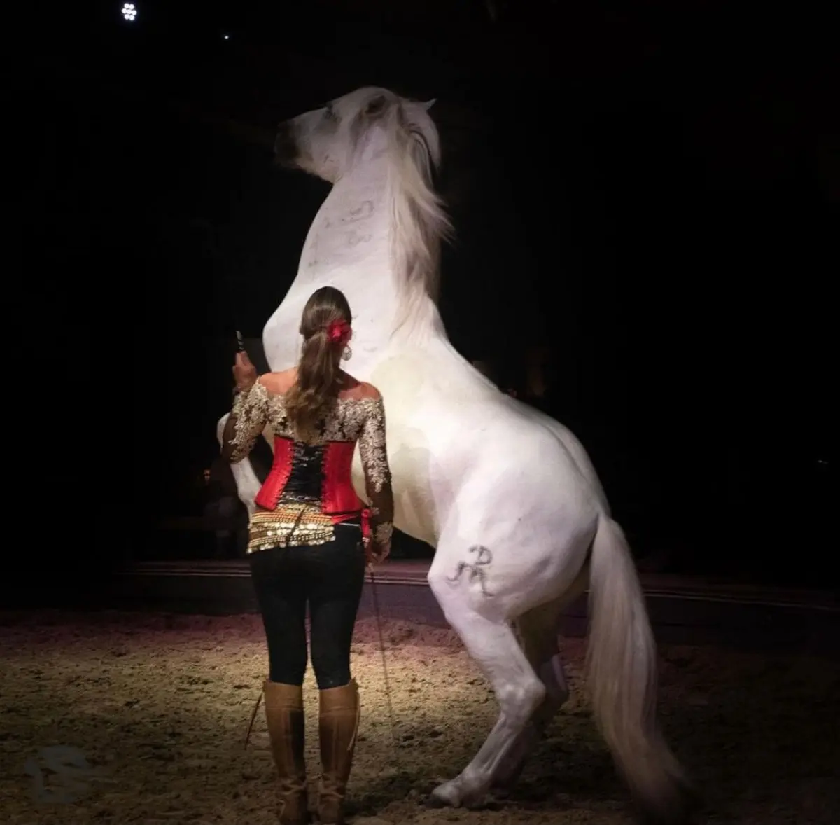 Spectacle Anatilya, le silence sacré du Vaccarès au Théâtre Equestre Camarkas