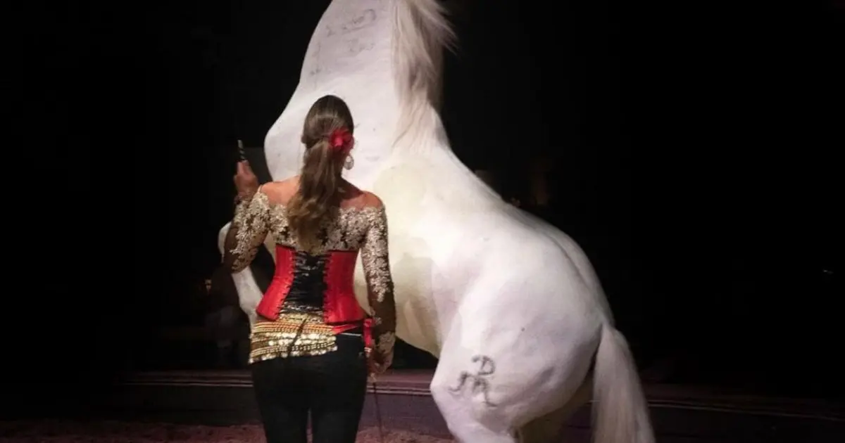 Spectacle "Anatilya, le silence sacré du Vaccarès" au Théâtre Equestre Camarkas