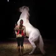 Spectacle Anatilya, le silence sacré du Vaccarès au Théâtre Equestre Camarkas