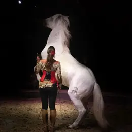 Spectacle Anatilya, le silence sacré du Vaccarès au Théâtre Equestre Camarkas