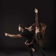 Spectacle Après tout