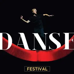 Spectacle au Château Royal de Blois