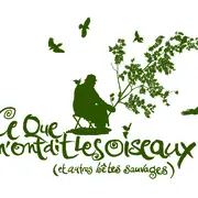 Spectacle Ce que m'ont dit les oiseaux par le Pêcheur d'oiseaux