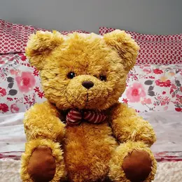 Spectacle - Charlie et la Peluchologie