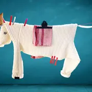 Spectacle : Cordalinge (y’a Du Monde Sur La)