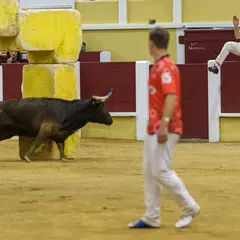 Spectacle Croque-vaches