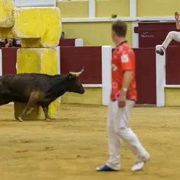 Spectacle Croque-vaches