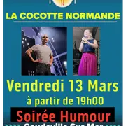 Spectacle d'humour