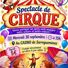 Spectacle de Cirque