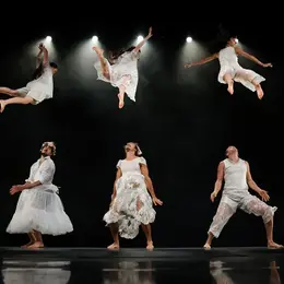 Spectacle de cirque - Orphées