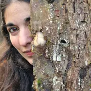 Spectacle de conte “Le bois perdu”