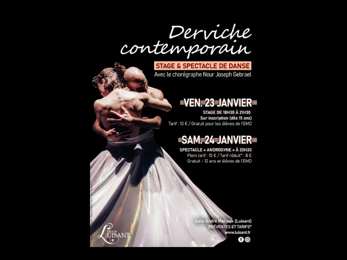 Spectacle de danse : Androgyne