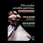 Spectacle de danse : Androgyne