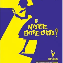 Spectacle de danse d'Entrechats :  le mystère Entre-Chats ?