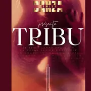 Spectacle de danse – Danza “Tribu”