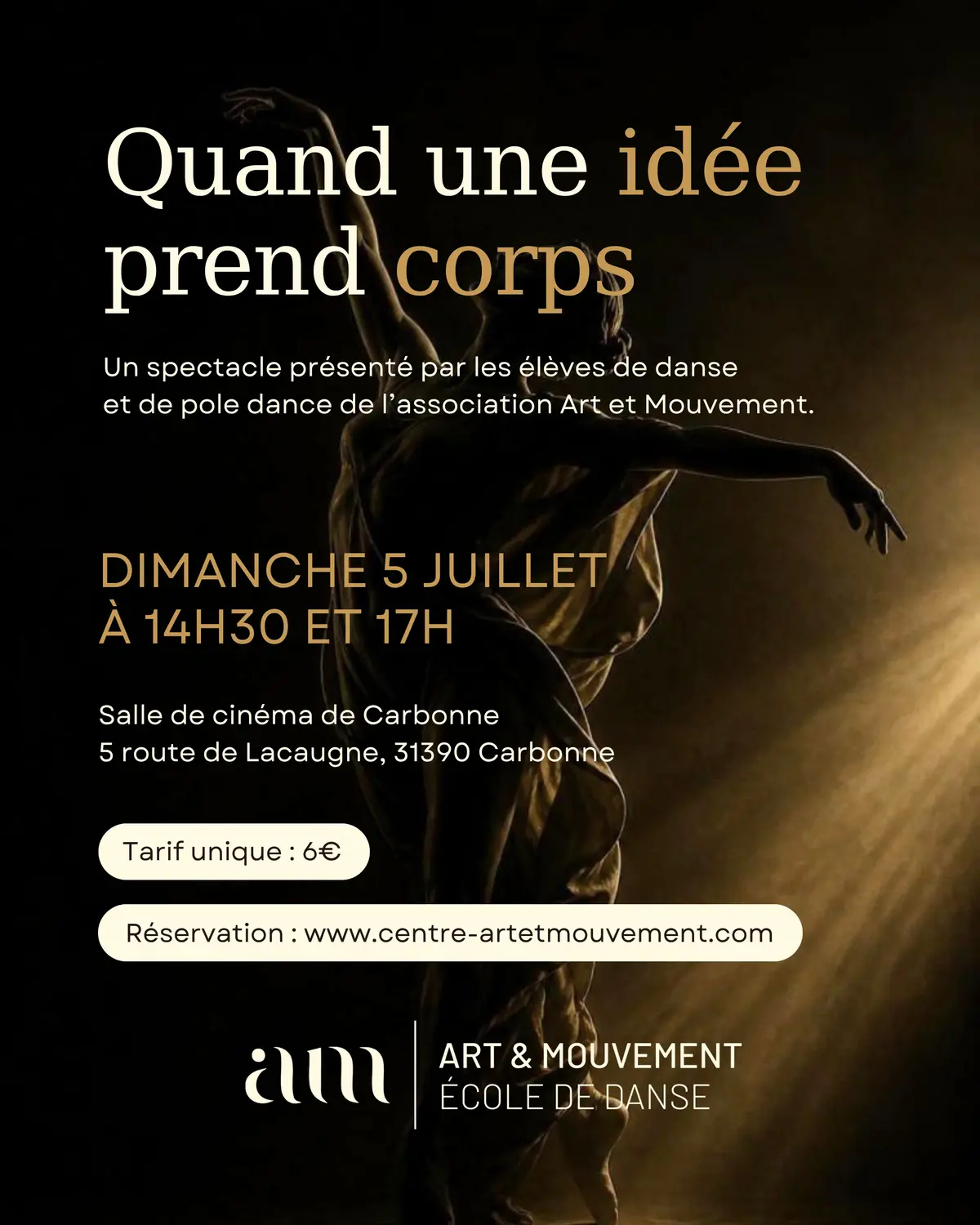 Spectacle De Danse & Pole Dance