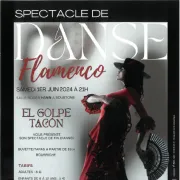 Spectacle de danse flamenco
