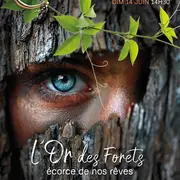 Spectacle de danse L'Or des Forêts, écorce de nos rêves