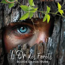 Spectacle de danse L'Or des Forêts, écorce de nos rêves