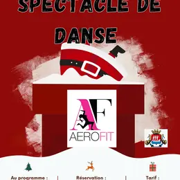 Spectacle de danse Noël d'Aérofit