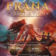 Spectacle de danse orientale et Bollywood