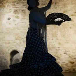 Spectacle de Flamenco