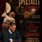Spectacle de Flamenco