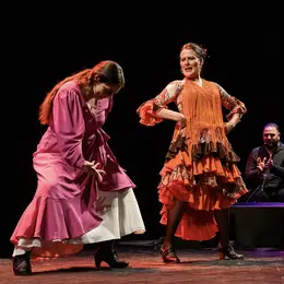 Spectacle de flamenco