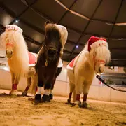 Spectacle de Noël au Cabaret Équestre des Mylords