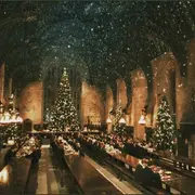 Spectacle de Noël du 75