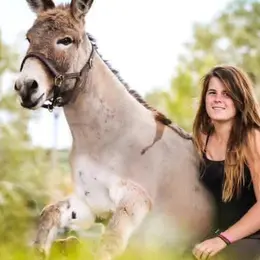 Spectacle de Pulco, l’âne de compétition